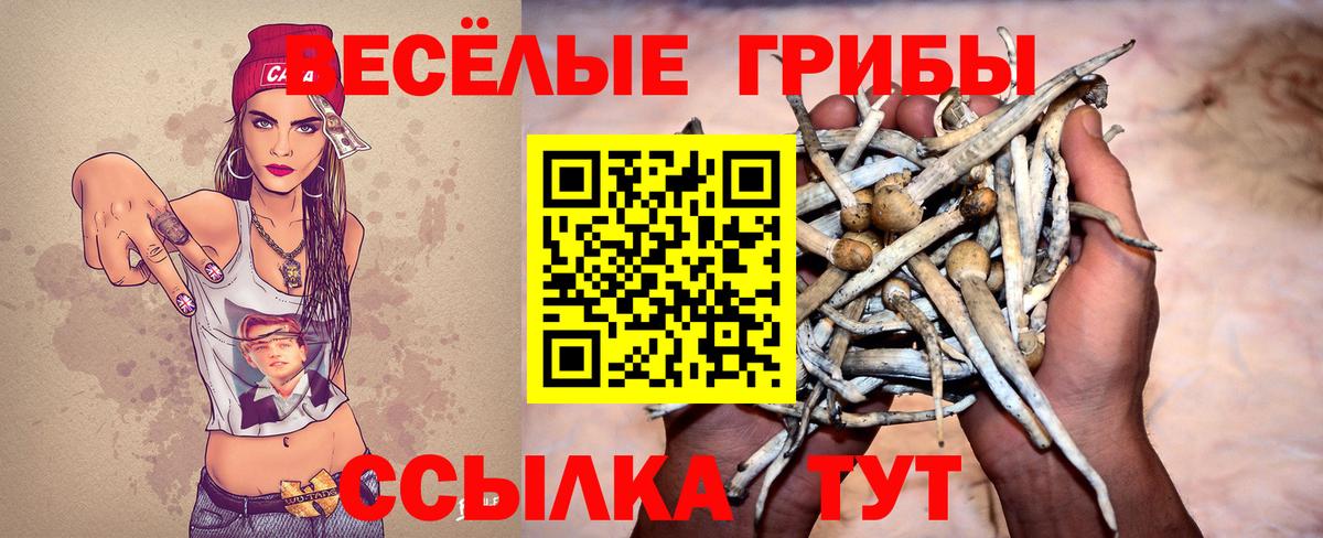 Псилоцибиновые грибы мицелий  Галлюциногенные грибы Psilocybine cubensis  Орёл  Вход с VPN 